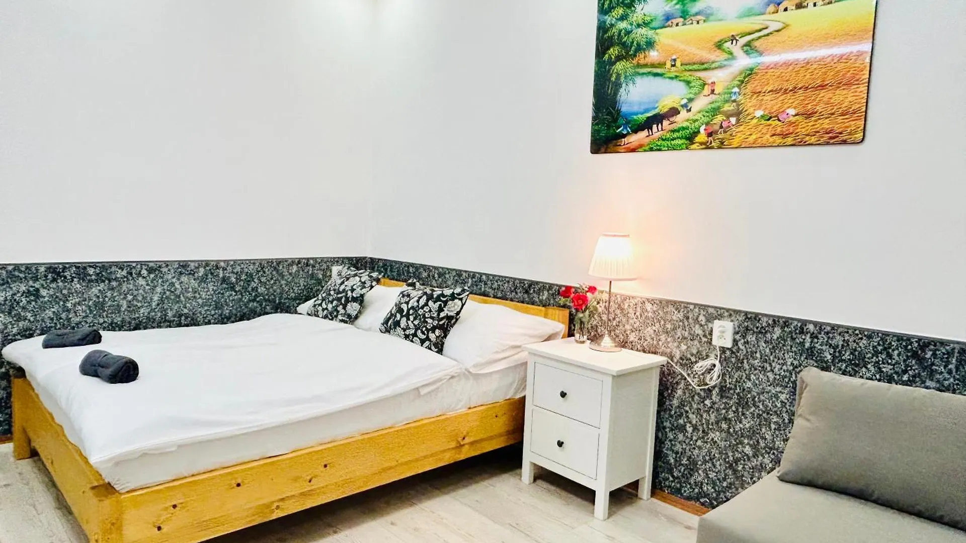 Modern Spacious Apartment In Center Prague Czech Republic